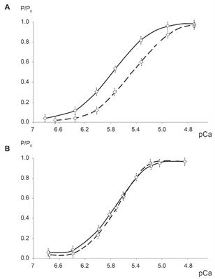 Cellular Responses of Human Postural Muscle to Dry Immersion